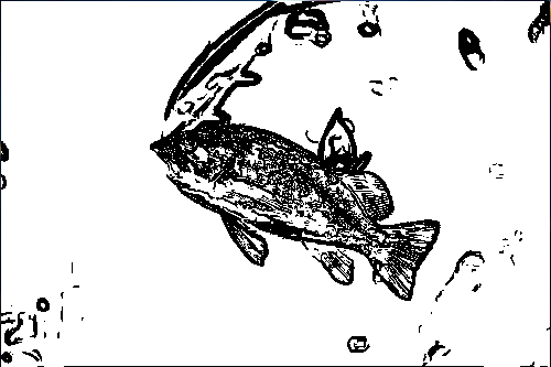 Underwater Adventure